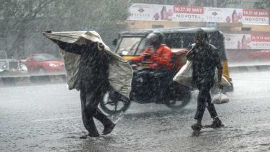 पंजाब में फिर बदलेगा मौसम, 3 जिलों में बारिश की संभावना पंजाब में फिर बदलेगा मौसम, 3 जिलों में बारिश की संभावना