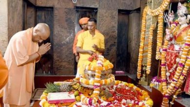 सीएम योगी का बलरामपुर को बड़ा तोहफा, ₹803 करोड़ की विकास परियोजनाओं का लोकार्पण और शिलान्यास