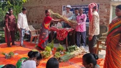 बिहार के जमुई में हर्बल खेती की पहल, महिलाओं को मिलेगा रोजगार और आय बढ़ाने का अवसर
