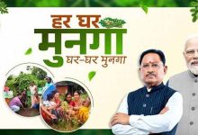 कुपोषण मुक्त छत्तीसगढ़ की तैयारी, हर घर तक मुनगा पहुंचाने का अभियान होगा शुरू