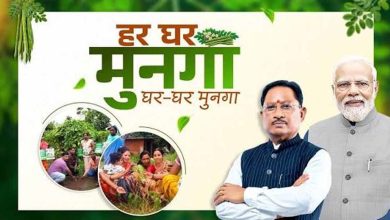 कुपोषण मुक्त छत्तीसगढ़ की तैयारी, हर घर तक मुनगा पहुंचाने का अभियान होगा शुरू