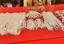 पीठ पर बैग और अंदर लाखों की चांदी, 36 लाख की बरामदगी से मचा हड़कंप