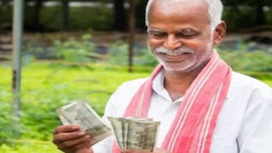 हरियाणा में फसल बीमा क्लेम पर उपभोक्ता आयोग का फैसला, किसान को ₹58 हजार से ज्यादा राहत और 7% ब्याज मिलेगा