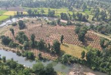 वर्षा जल संरक्षण से बदलेगी गांव की सूरत, ग्राम दर्री में 24 लाख लीटर से ज्यादा पानी सहेजने की तैयारी
