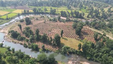 वर्षा जल संरक्षण से बदलेगी गांव की सूरत, ग्राम दर्री में 24 लाख लीटर से ज्यादा पानी सहेजने की तैयारी