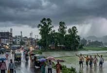 मध्यप्रदेश में मौसम बदलेगा मिजाज, 15 जिलों में बारिश की चेतावनी; गुना में मक्के की फसल बर्बाद