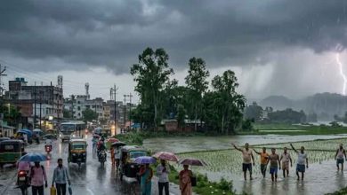 मध्यप्रदेश में मौसम बदलेगा मिजाज, 15 जिलों में बारिश की चेतावनी; गुना में मक्के की फसल बर्बाद
