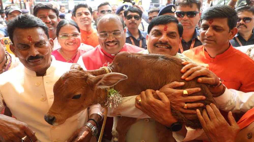 CM डॉ. यादव ने दिए आदर्श गौशाला जल्द तैयार करने के निर्देश, विभागीय योजनाओं पर चर्चा
