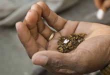 चबाने वाले तंबाकू का खौफनाक असर, स्टडी में 2.51 लाख मौतों का दावा