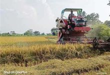 हरियाणा में बारिश का दौर थमा, कुरुक्षेत्र में साफ रहेगा मौसम; 35 डिग्री तक पहुंच सकता है पारा