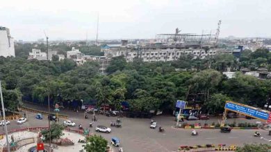 इंदौर की रानी सराय में कटेंगे 182 पेड़, हाई कोर्ट ने शर्तों के साथ दी अनुमति