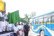 पंजाब में ग्रामीण परिवहन को मिलेगी रफ्तार, मुख्यमंत्री ने शुरू कराईं 100 मिनी बसें