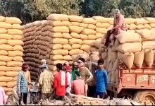 CG Dhan Kharidi: किसानों को ₹3100 प्रति क्विंटल मिलेंगे दाम, 360 नए खरीदी केंद्र भी खुलेंगे; टोकन प्रक्रिया जानें