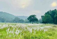 कोर एवं बफर के सभी पर्यटन जोन सामान्य रूप से संचालित, किसी भी गेट को बंद नहीं किया गया