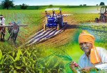 झारखंड के किसानों के लिए बड़ी सौगात, कृषि उपकरण बैंक बनाने पर मिलेगी 8 लाख रुपये तक की सब्सिडी