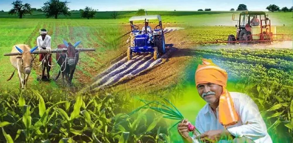 झारखंड के किसानों के लिए बड़ी सौगात, कृषि उपकरण बैंक बनाने पर मिलेगी 8 लाख रुपये तक की सब्सिडी झारखंड के किसानों के लिए बड़ी सौगात, कृषि उपकरण बैंक बनाने पर मिलेगी 8 लाख रुपये तक की सब्सिडी