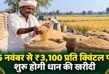 CG में धान खरीदी केंद्रों की संख्या बढ़कर होगी 3100, 15 नवंबर से शुरू होगी समर्थन मूल्य पर खरीदी
