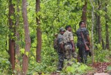 सारंडा-पारसनाथ में बदलेगी तस्वीर, दो दर्जन से अधिक सुरक्षा कैंप बन सकते हैं विकास केंद्र