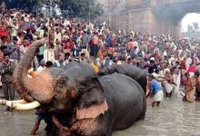 सोनपुर मेले का अनोखा इतिहास: कैसे पशु व्यापार का केंद्र बना किसानों की आवाज और जनजागरण का मंच