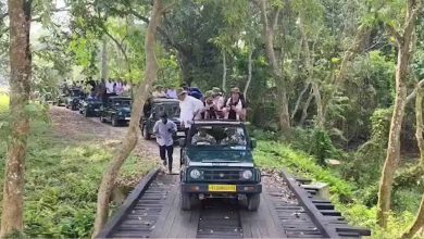 असम में फिर शुरू हुई जंगल सफारी, मानस 2 और काजीरंगा 3 अक्टूबर से पर्यटकों के लिए खुले