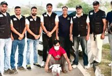 हिसार में पकड़ा गया 5 लाख का इनामी बदमाश, पंजाब के शोरूम मालिक हत्याकांड में था शामिल