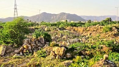 राजस्थान में अरावली को भारी नुकसान, अवैध खनन और निर्माण से बिगड़ रहा पर्यावरणीय संतुलन