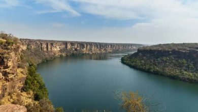 Chambal Water Sharing: रबी फसलों की सिंचाई के लिए 18 अक्टूबर से शुरू होगा जल प्रवाह