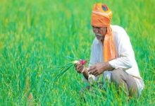फसल बीमा क्लेम पर बड़ा फैसला, डूंगरपुर के किसानों को मिलेंगे 7.69 करोड़ रुपये