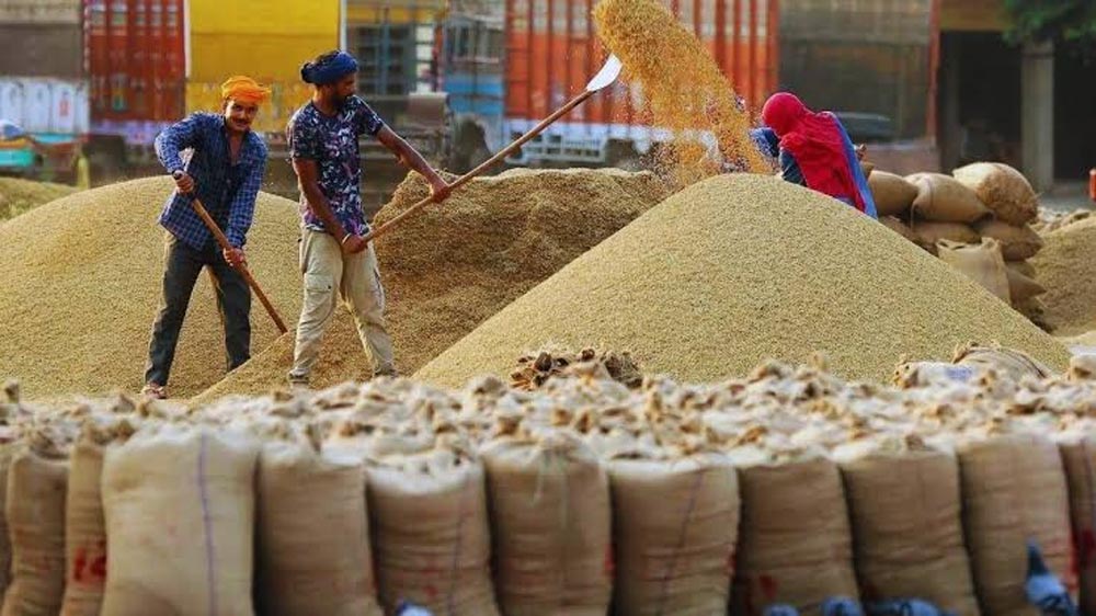 धान खरीद में देरी से किसान परेशान, जींद-असंध मार्ग पर जाम; अंबाला की मंडियों में बढ़ी निगरानी