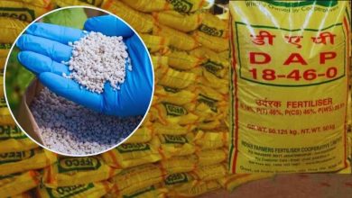 रबी बुवाई से पहले कृषि विभाग अलर्ट, खाद की कालाबाजारी रोकने के लिए दुकानों का निरीक्षण