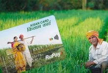 प्रदेश में एक लाख से अधिक किसानों ने किया ई-केसीसी पोर्टल या एप के जरिए आवेदन