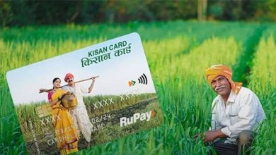 प्रदेश में एक लाख से अधिक किसानों ने किया ई-केसीसी पोर्टल या एप के जरिए आवेदन