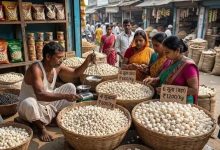Makhana Farming: बिहार के 5 जिलों में होती है मखाने की खेती, जानिए कैसे कीचड़ से निकलता है करोड़ों का सुपरफूड