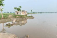 गोमती नदी की बाढ़ से बढ़ा ग्राउंड वाटर लेवल, बारिश से नदी और तालाबों को मिला पानी