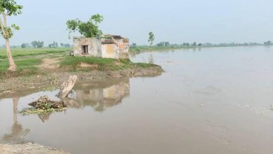 गोमती नदी की बाढ़ से बढ़ा ग्राउंड वाटर लेवल, बारिश से नदी और तालाबों को मिला पानी