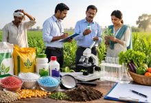 किसानों को नकली खाद-बीज से बचाने के लिए राजस्थान सरकार का नया सिस्टम, QR कोड और रैंडम लैब से होगी जांच