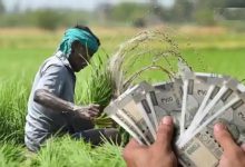 कृषि इनपुट अनुदान योजना: छपरा में 20,661 आवेदनों में से 12,395 को मिली अंतिम मंजूरी, 218 लंबित