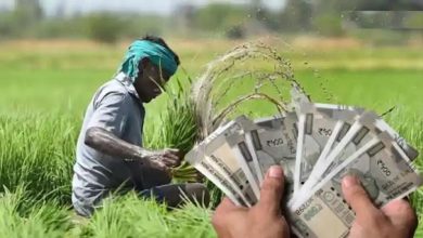 कृषि इनपुट अनुदान योजना: छपरा में 20,661 आवेदनों में से 12,395 को मिली अंतिम मंजूरी, 218 लंबित