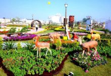 रामायण वाटिका का लोकार्पण नवरात्र में संभव, मुख्यमंत्री योगी से मांगा गया समय; दिखेगी ‘हरित रामायण’