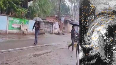 छत्तीसगढ़ में बंगाल की खाड़ी का तूफान बढ़ाएगा किसानों की चिंता, पांच दिन तक हो सकती है बारिश