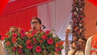 CG में स्मृति ईरानी का पहला दौरा, स्वागत के लिए सड़कों पर लगाए गए भाजपा के झंडे