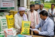 छत्तीसगढ़ में खाद खरीदने का बदलेगा तरीका, किसानों को मोबाइल ऐप से करनी होगी खरीदी