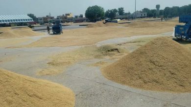 नए बारदानों की खरीदी अटकी, पुराने बारदानों से होगी धान खरीदी