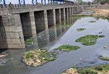 अरपा नदी प्रदूषण पर हाईकोर्ट का सवाल, 70 नालों के लिए सिर्फ 4 STP क्यों?