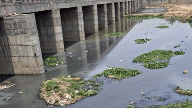 अरपा नदी प्रदूषण पर हाईकोर्ट का सवाल, 70 नालों के लिए सिर्फ 4 STP क्यों?