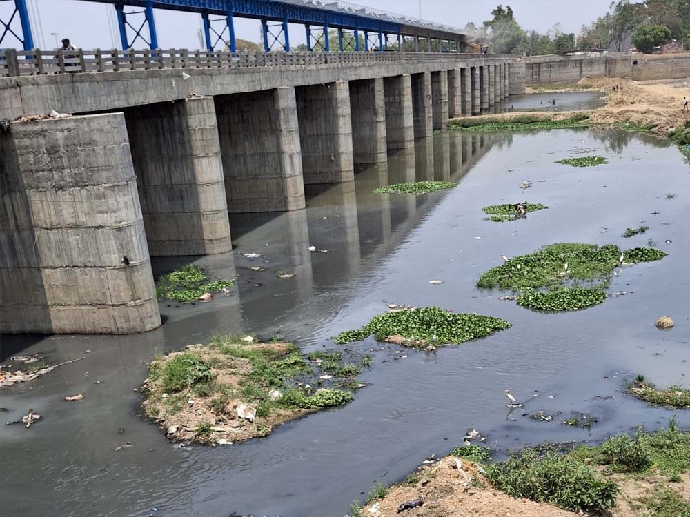 अरपा नदी प्रदूषण पर हाईकोर्ट का सवाल, 70 नालों के लिए सिर्फ 4 STP क्यों? अरपा नदी प्रदूषण पर हाईकोर्ट का सवाल, 70 नालों के लिए सिर्फ 4 STP क्यों?
