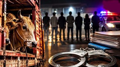 CG: गाय का कटा सिर मिलने से हड़कंप, आरोपी की दुकान पर प्रशासन की कार्रवाई