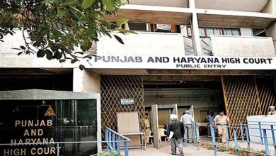 पुरानी पेंशन का लाभ देने पर हाईकोर्ट सख्त, हरियाणा सरकार को दिए निर्देश