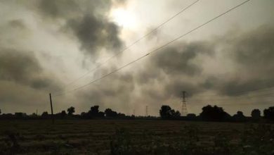 Haryana Weather: प्रदेश में मौसम लेगा करवट, बारिश और आंधी को लेकर जानें ताजा अपडेट