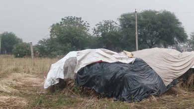 MP Crime: सतना में किसान पर जानलेवा हमला, गला रेतकर लूटे जेवर, हमले में पांच लोग गंभीर